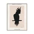 Picture of Vintage Cockatoo _GroupedProduct_Rectangle_Portrait_Canvas_Framed_