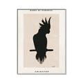 Picture of Vintage Cockatoo _GroupedProduct_Rectangle_Portrait_Canvas_Framed_