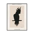 Picture of Vintage Cockatoo _GroupedProduct_Rectangle_Portrait_Canvas_Framed_