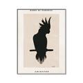 Picture of Vintage Cockatoo _GroupedProduct_Rectangle_Portrait_Canvas_Framed_
