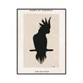 Picture of Vintage Cockatoo _GroupedProduct_Rectangle_Portrait_Canvas_Framed_