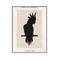 Picture of Vintage Cockatoo _GroupedProduct_Rectangle_Portrait_Canvas_Framed_