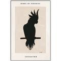 Picture of Vintage Cockatoo _GroupedProduct_Rectangle_Portrait_Canvas_Framed_