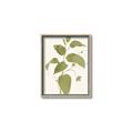 Picture of Leaf Mirage I _GroupedProduct_Rectangle_Portrait_Canvas_Framed_