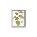 Picture of Leaf Mirage I _GroupedProduct_Rectangle_Portrait_Canvas_Framed_