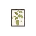 Picture of Leaf Mirage I _GroupedProduct_Rectangle_Portrait_Canvas_Framed_