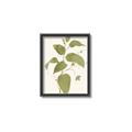 Picture of Leaf Mirage I _GroupedProduct_Rectangle_Portrait_Canvas_Framed_