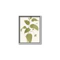 Picture of Leaf Mirage I _GroupedProduct_Rectangle_Portrait_Canvas_Framed_