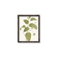 Picture of Leaf Mirage I _GroupedProduct_Rectangle_Portrait_Canvas_Framed_