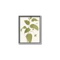 Picture of Leaf Mirage I _GroupedProduct_Rectangle_Portrait_Canvas_Framed_