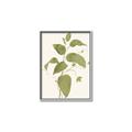 Picture of Leaf Mirage I _GroupedProduct_Rectangle_Portrait_Canvas_Framed_
