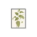 Picture of Leaf Mirage I _GroupedProduct_Rectangle_Portrait_Canvas_Framed_