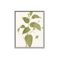 Picture of Leaf Mirage I _GroupedProduct_Rectangle_Portrait_Canvas_Framed_