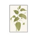 Picture of Leaf Mirage I _GroupedProduct_Rectangle_Portrait_Canvas_Framed_