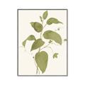 Picture of Leaf Mirage I _GroupedProduct_Rectangle_Portrait_Canvas_Framed_