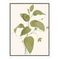 Picture of Leaf Mirage I _GroupedProduct_Rectangle_Portrait_Canvas_Framed_