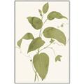 Picture of Leaf Mirage I _GroupedProduct_Rectangle_Portrait_Canvas_Framed_