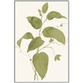 Picture of Leaf Mirage I _GroupedProduct_Rectangle_Portrait_Canvas_Framed_