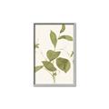 Picture of Leaf Mirage II _GroupedProduct_Rectangle_Portrait_Canvas_Framed_
