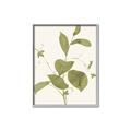 Picture of Leaf Mirage II _GroupedProduct_Rectangle_Portrait_Canvas_Framed_