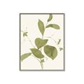 Picture of Leaf Mirage II _GroupedProduct_Rectangle_Portrait_Canvas_Framed_