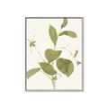 Picture of Leaf Mirage II _GroupedProduct_Rectangle_Portrait_Canvas_Framed_