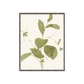 Picture of Leaf Mirage II _GroupedProduct_Rectangle_Portrait_Canvas_Framed_