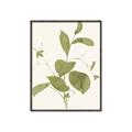 Picture of Leaf Mirage II _GroupedProduct_Rectangle_Portrait_Canvas_Framed_