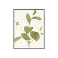 Picture of Leaf Mirage II _GroupedProduct_Rectangle_Portrait_Canvas_Framed_