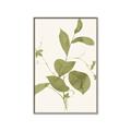 Picture of Leaf Mirage II _GroupedProduct_Rectangle_Portrait_Canvas_Framed_