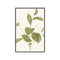 Picture of Leaf Mirage II _GroupedProduct_Rectangle_Portrait_Canvas_Framed_