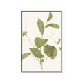 Picture of Leaf Mirage II _GroupedProduct_Rectangle_Portrait_Canvas_Framed_
