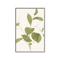 Picture of Leaf Mirage II _GroupedProduct_Rectangle_Portrait_Canvas_Framed_