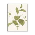 Picture of Leaf Mirage II _GroupedProduct_Rectangle_Portrait_Canvas_Framed_