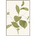 Picture of Leaf Mirage II _GroupedProduct_Rectangle_Portrait_Canvas_Framed_