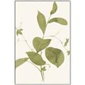 Picture of Leaf Mirage II _GroupedProduct_Rectangle_Portrait_Canvas_Framed_