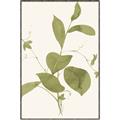 Picture of Leaf Mirage II _GroupedProduct_Rectangle_Portrait_Canvas_Framed_