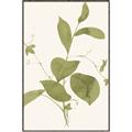 Picture of Leaf Mirage II _GroupedProduct_Rectangle_Portrait_Canvas_Framed_