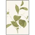 Picture of Leaf Mirage II _GroupedProduct_Rectangle_Portrait_Canvas_Framed_