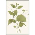 Picture of Leaf Mirage III _GroupedProduct_Rectangle_Portrait_Canvas_Framed_