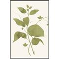 Picture of Leaf Mirage III _GroupedProduct_Rectangle_Portrait_Canvas_Framed_