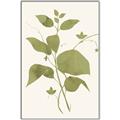 Picture of Leaf Mirage III _GroupedProduct_Rectangle_Portrait_Canvas_Framed_