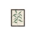 Picture of Swaying Foliage I _GroupedProduct_Rectangle_Portrait_Canvas_Framed_