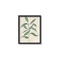 Picture of Swaying Foliage I _GroupedProduct_Rectangle_Portrait_Canvas_Framed_