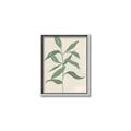 Picture of Swaying Foliage I _GroupedProduct_Rectangle_Portrait_Canvas_Framed_