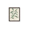 Picture of Swaying Foliage I _GroupedProduct_Rectangle_Portrait_Canvas_Framed_