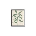 Picture of Swaying Foliage I _GroupedProduct_Rectangle_Portrait_Canvas_Framed_