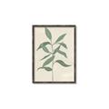 Picture of Swaying Foliage I _GroupedProduct_Rectangle_Portrait_Canvas_Framed_