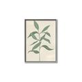 Picture of Swaying Foliage I _GroupedProduct_Rectangle_Portrait_Canvas_Framed_