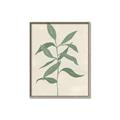 Picture of Swaying Foliage I _GroupedProduct_Rectangle_Portrait_Canvas_Framed_